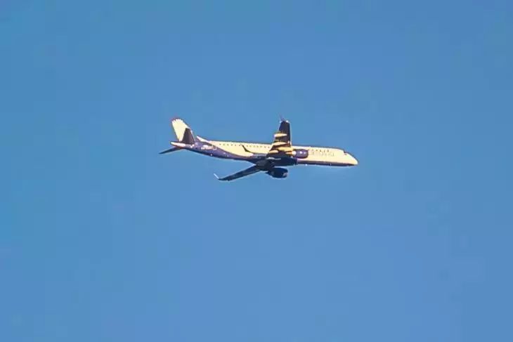 Екатерину Мизулину с собакой Вовой не пустили на рейс в Красноярск