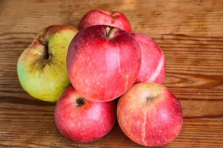 Какую еду нужно есть для здоровья почек: 5 продуктов Какую еду нужно есть для здоровья почек: 5 продуктов