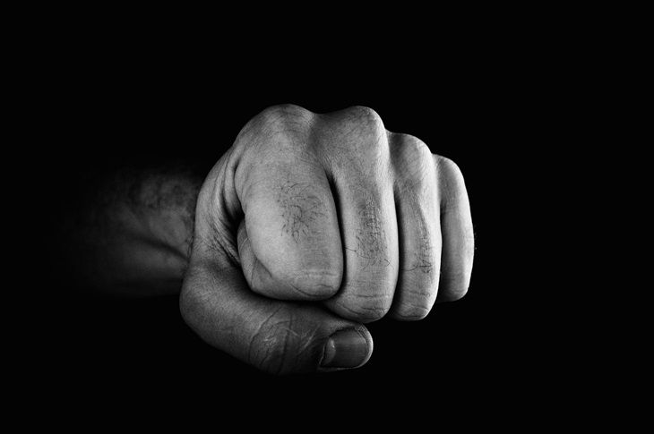 Швейцарский депутат подрался с полицией из-за спикера Верховной рады Швейцарский депутат подрался с полицией из-за спикера Верховной рады