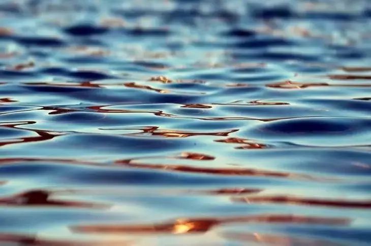 В Индии из воды выловили труп, плавающий несколько часов, но он внезапно ожил В Индии из воды выловили труп, плавающий несколько часов, но он внезапно ожил