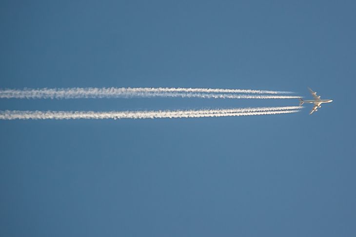 Azur Air объяснила разворот рейса Анталья – Сочи попаданием птицы в двигатель Azur Air объяснила разворот рейса Анталья – Сочи попаданием птицы в двигатель
