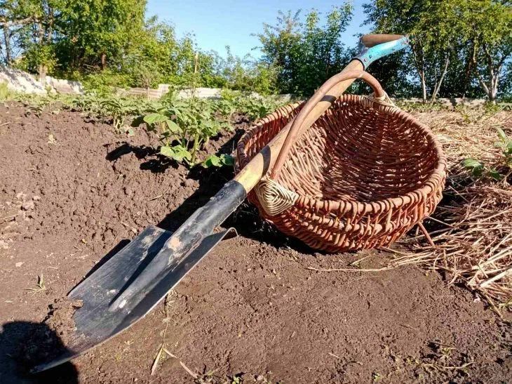 Какие правила должны соблюдать дачники, работая в огороде: все, чтобы не навредить здоровью Какие правила должны соблюдать дачники, работая в огороде: все, чтобы не навредить здоровью