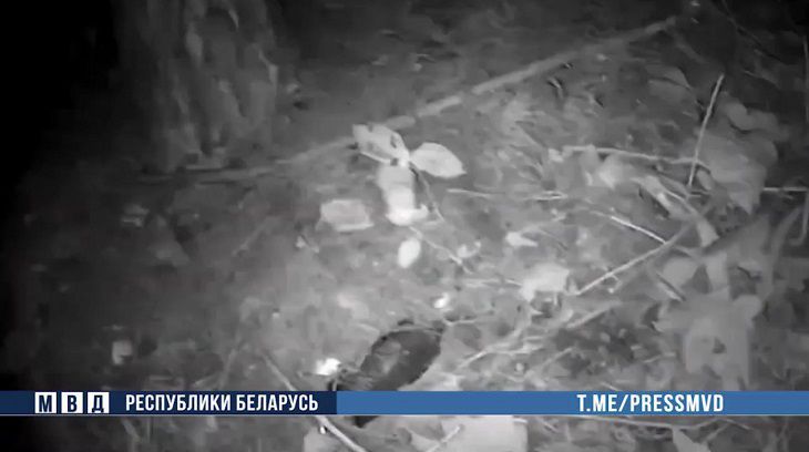 Минск, Гомель, Россия. Перекрыт крупный канал поставки психотропов Минск, Гомель, Россия. Перекрыт крупный канал поставки психотропов