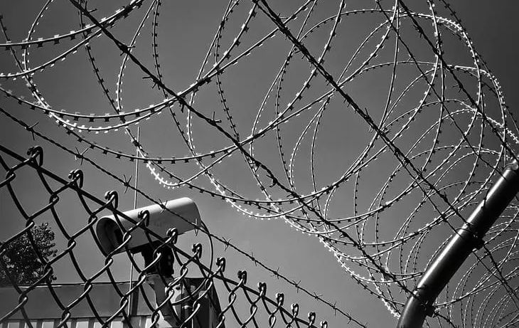 Страны Балтии призвали построить линию обороны вдоль границы с РФ Страны Балтии призвали построить линию обороны вдоль границы с РФ