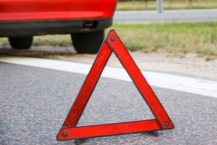 В Воронежской области свинья укусила водителя и спровоцировала ДТП В Воронежской области свинья укусила водителя и спровоцировала ДТП