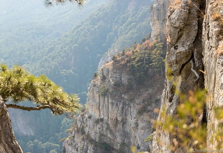 В Крыму спасли сошедшего с тропы туриста В Крыму спасли сошедшего с тропы туриста