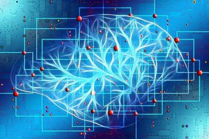 Neuralink Илона Маска вживит чип в мозг второго человека уже через неделю Neuralink Илона Маска вживит чип в мозг второго человека уже через неделю