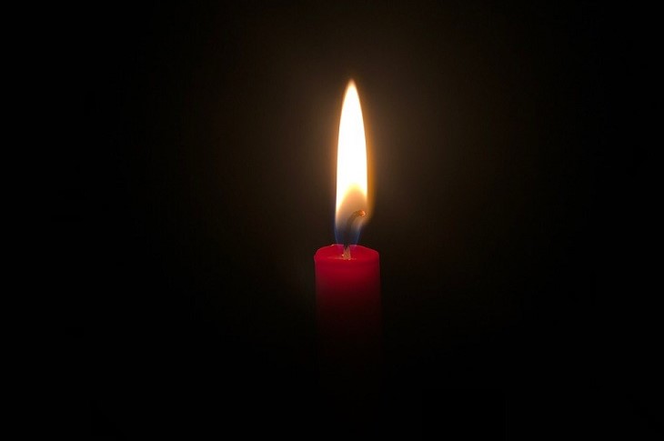 Похороны Алена Делона прошли в его поместье под Орлеаном Похороны Алена Делона прошли в его поместье под Орлеаном