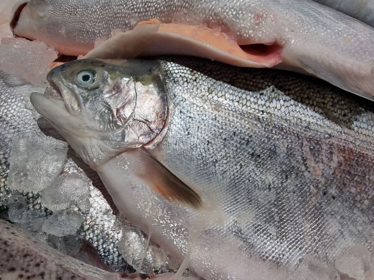 Эти продукты ускоряют обмен веществ: обязательно включите их в свой рацион Эти продукты ускоряют обмен веществ: обязательно включите их в свой рацион