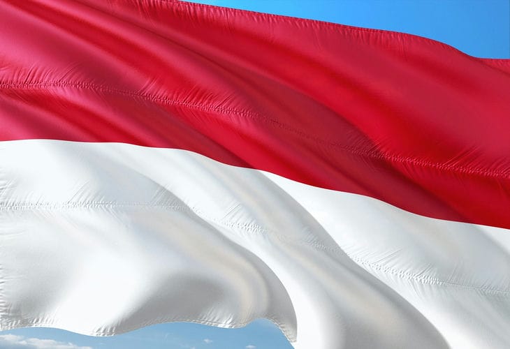 РФ и Индонезия двигаются к безвизовому режиму РФ и Индонезия двигаются к безвизовому режиму