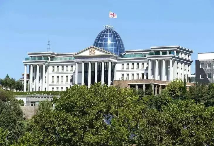 Председателя ЦИК Грузии облили краской во время заседания Председателя ЦИК Грузии облили краской во время заседания