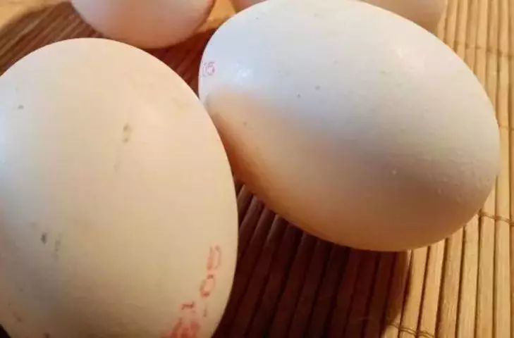 Что происходит с организмом, если есть одно яйцо в день: мало кто об этом знает Что происходит с организмом, если есть одно яйцо в день: мало кто об этом знает