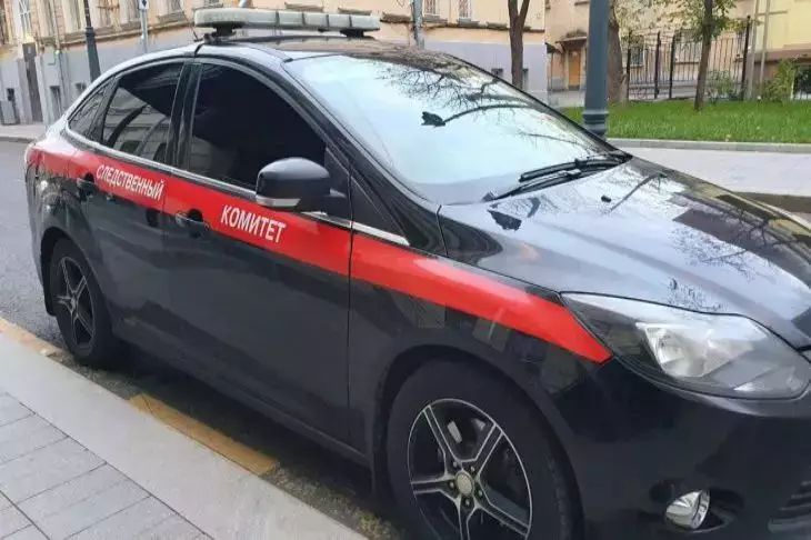 В Красноярском крае мать расправилась с тремя детьми топором В Красноярском крае мать расправилась с тремя детьми топором