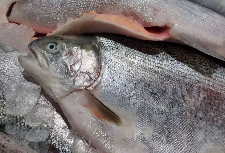 Не ешьте наугад: вот 3 продукта, которые продлят работу сердца и защитят от проблем раньше, чем появятся симптомы Не ешьте наугад: вот 3 продукта, которые продлят работу сердца и защитят от проблем раньше, чем появятся симптомы