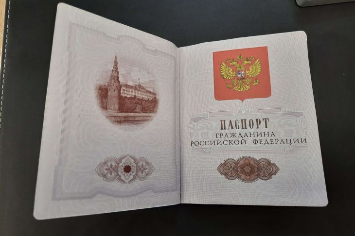 «Тихушник»: Бородин заявил о корыстном мотиве Реввы после получения гражданства РФ «Тихушник»: Бородин заявил о корыстном мотиве Реввы после получения гражданства РФ