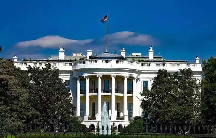 Илон Маск и министр финансов США Скотт Бессент подрались в Белом доме Илон Маск и министр финансов США Скотт Бессент подрались в Белом доме