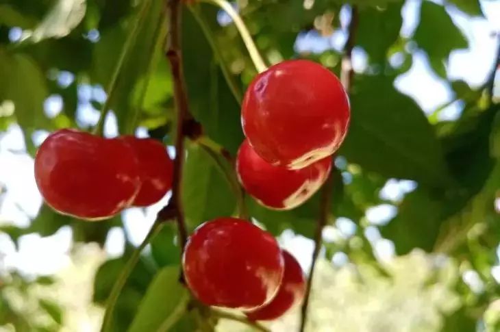 Есть на ночь можно: эти продукты не только не вредят, а реально помогают выспаться